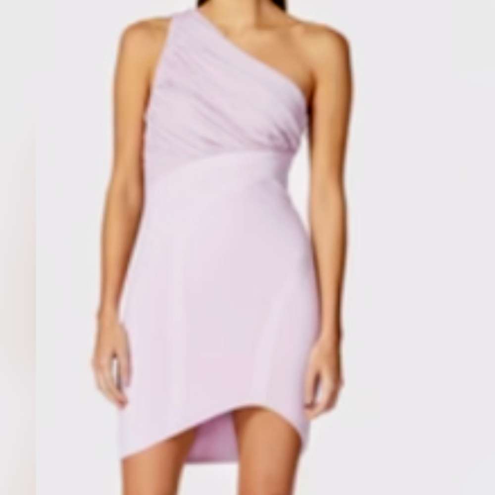 Herve Leger Mini Dress